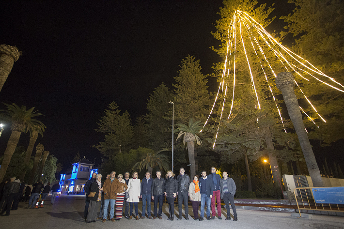 Más de 4.000 leds engalanan el árbol natural más alto de Europa para iluminar la Navidad en el Puerto